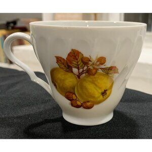 Vintage Cup Bone China "Old Nuremberg" Bavaria Germany FRUIT